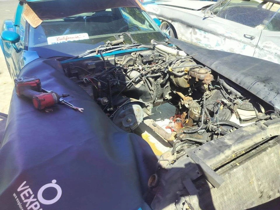 1981 Chevrolet Corvette C3 - Image 14 of 21
