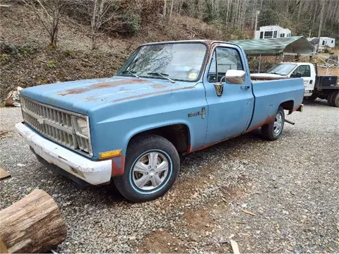 1981 Chevrolet Custom Long Bed