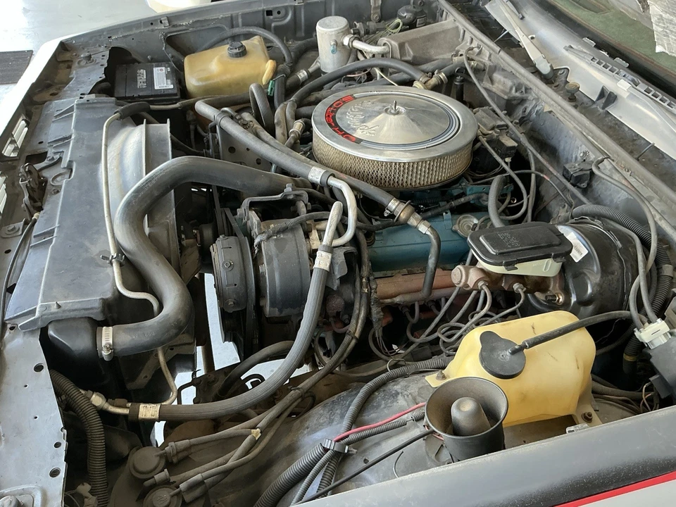 1981 Chevrolet El Camino 5th Gen - Image 10 of 14