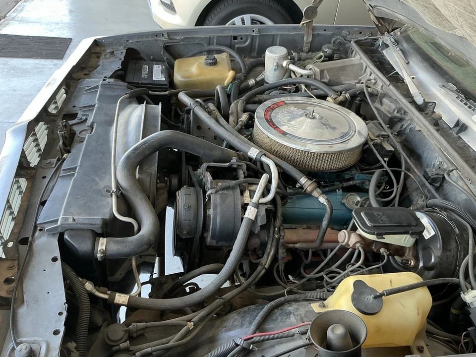 1981 Chevrolet El Camino 5th Gen - Image 13 of 14