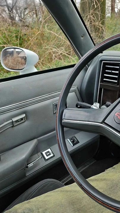 1981 Chevrolet Malibu - Image 11 of 15