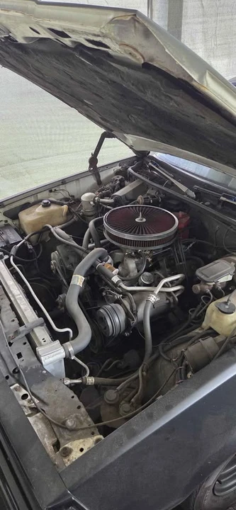 1981 Chevrolet Malibu - Image 3 of 12