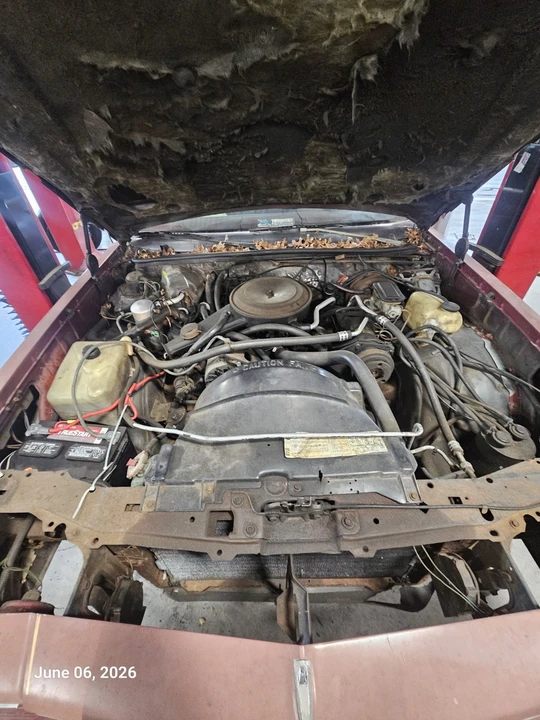1981 Chevrolet Monte Carlo 4th Gen - Image 9 of 19