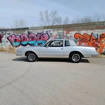 1981 Chevrolet Monte Carlo LS Coupe 2D