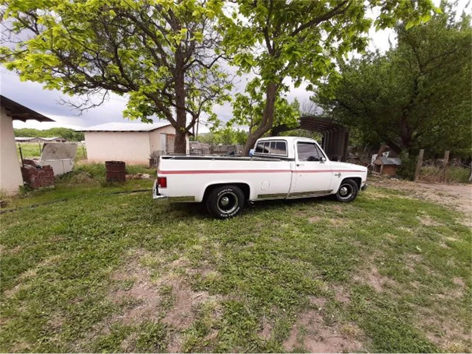 1981 Chevrolet C/K 3rd Gen - Image 4 of 5