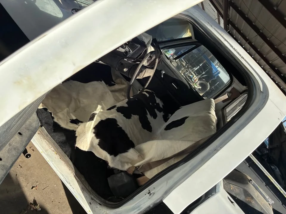 1981 Chevrolet C/K 3rd Gen - Image 6 of 7