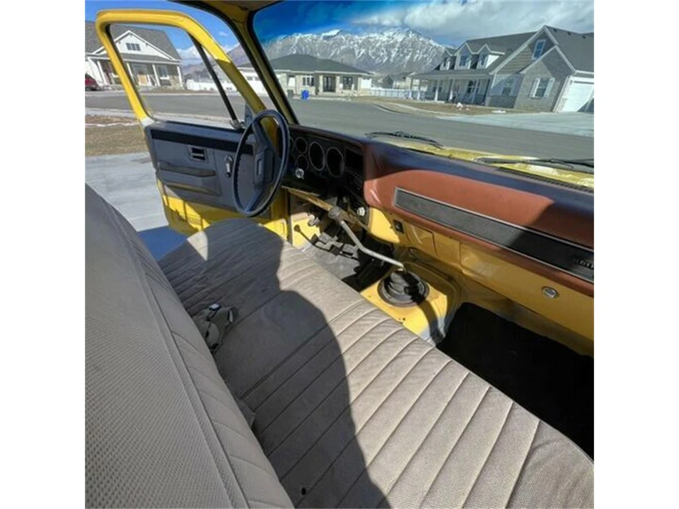 1981 Chevrolet Silverado - Image 3 of 9
