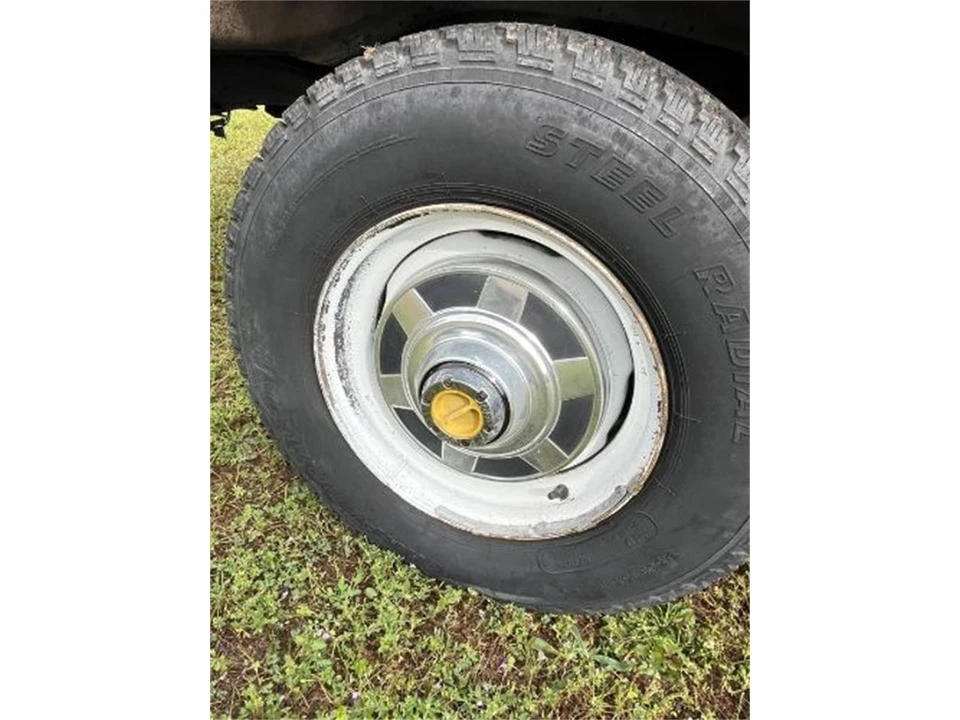 1981 Chevrolet Silverado - Image 2 of 17