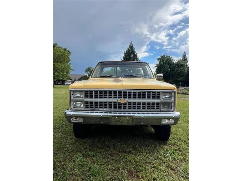 1981 Chevrolet Silverado - Image 15 of 17
