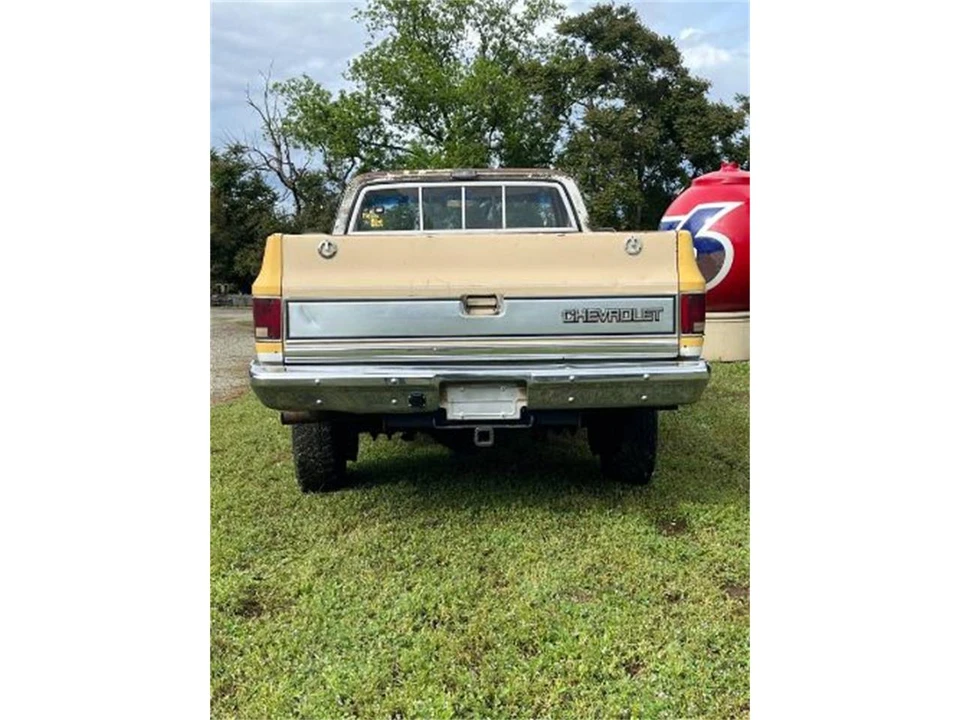 1981 Chevrolet Silverado - Image 10 of 17