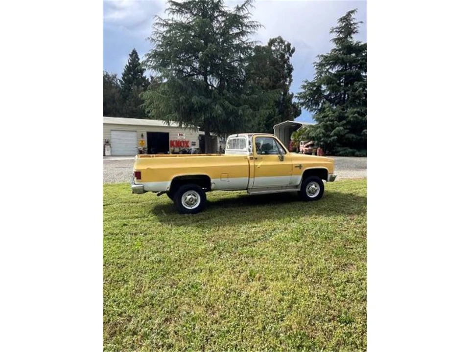 1981 Chevrolet Silverado - Image 14 of 17
