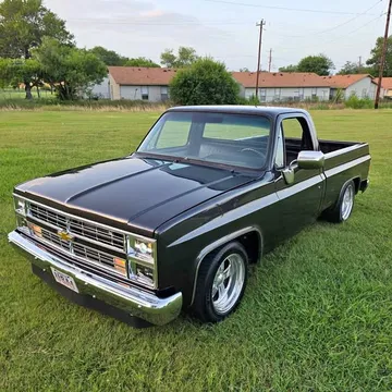 1981 Chevrolet Silverado C-10
