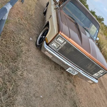 1981 Chevrolet Silverado C10