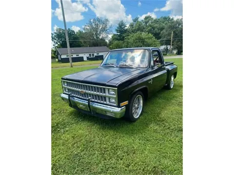 1981 Chevrolet Silverado C10 Stepside Short Bed