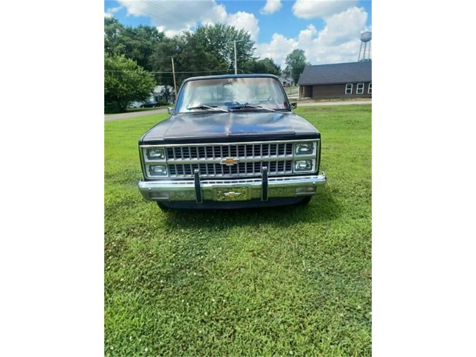 1981 Chevrolet C/K 3rd Gen - Image 3 of 8
