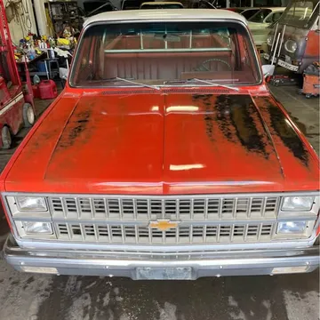 1981 Chevrolet Silverado 1500 Regular Cab Work Truck Pickup