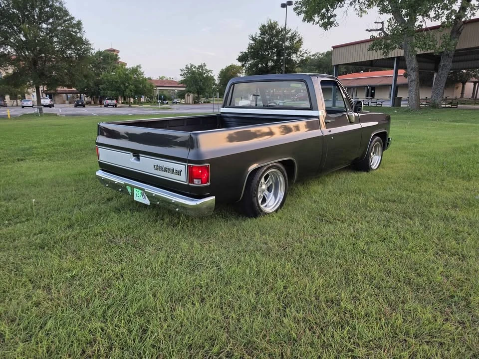 1981 Chevrolet Silverado - Image 6 of 13
