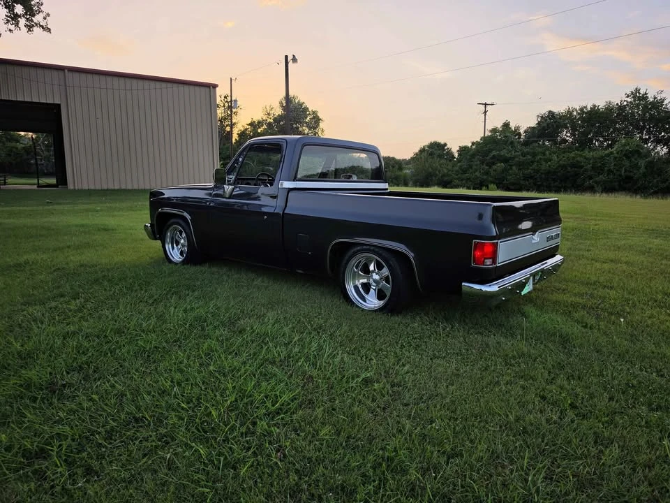 1981 Chevrolet Silverado - Image 5 of 13