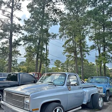 1981 Chevrolet Silverado C-10