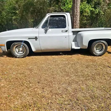 1981 Chevrolet Silverado Stepside