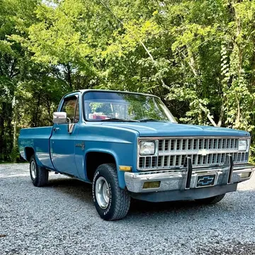 1981 Chevrolet C10