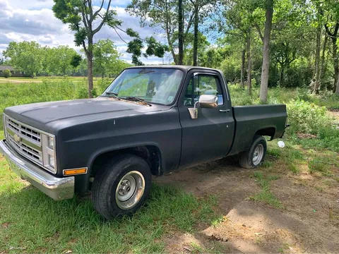 1981 Chevrolet C10