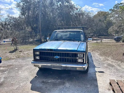 1981 Chevrolet C10