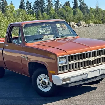 1981 Chevrolet C10 Deluxe