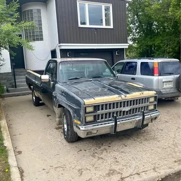1981 Chevrolet Silverado C10
