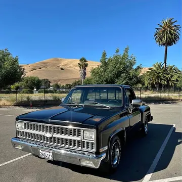 1981 Chevrolet C10 Silverado