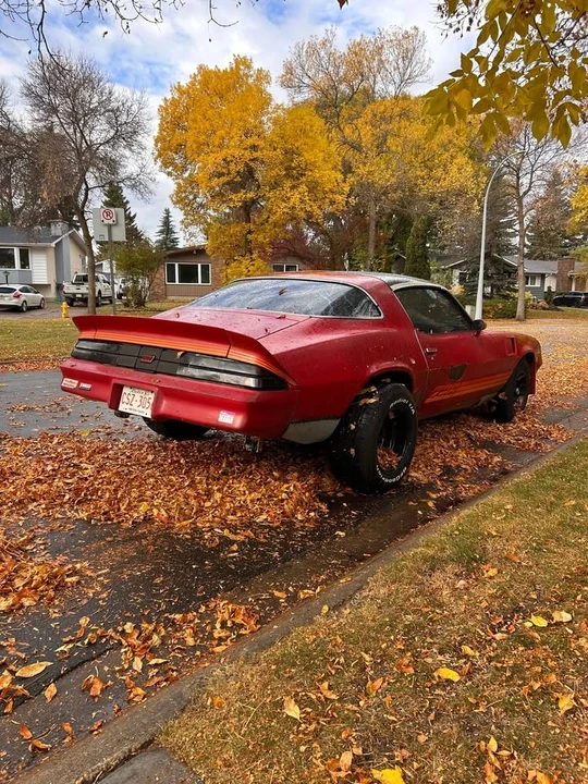 1981 Chevrolet Camaro 2nd Gen - Image 3 of 12