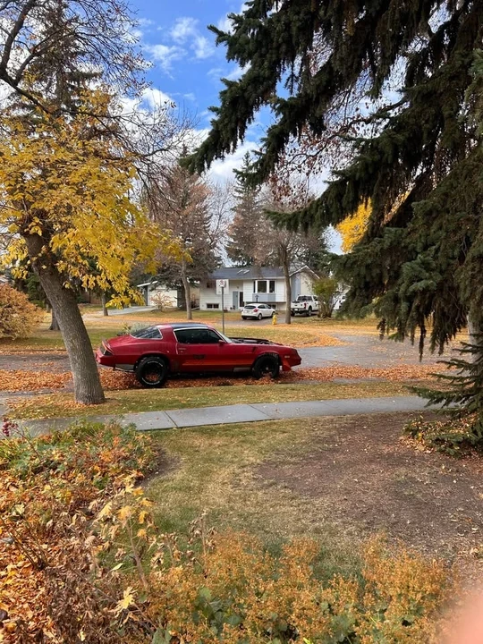 1981 Chevrolet Camaro 2nd Gen - Image 2 of 12