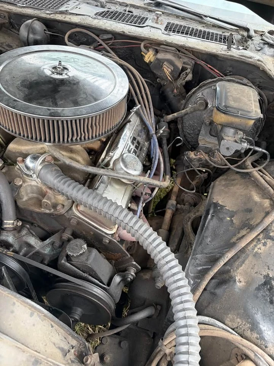 1981 Chevrolet Camaro 2nd Gen - Image 4 of 8