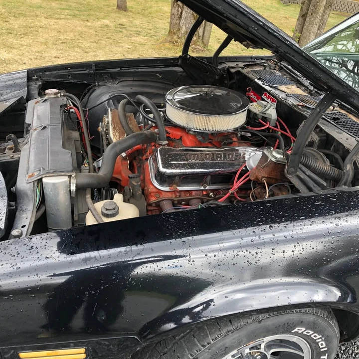 1981 Chevrolet Camaro 2nd Gen - Image 5 of 5