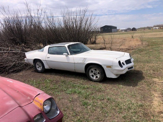 1981 Chevrolet Camaro 2nd Gen - Image 2 of 5
