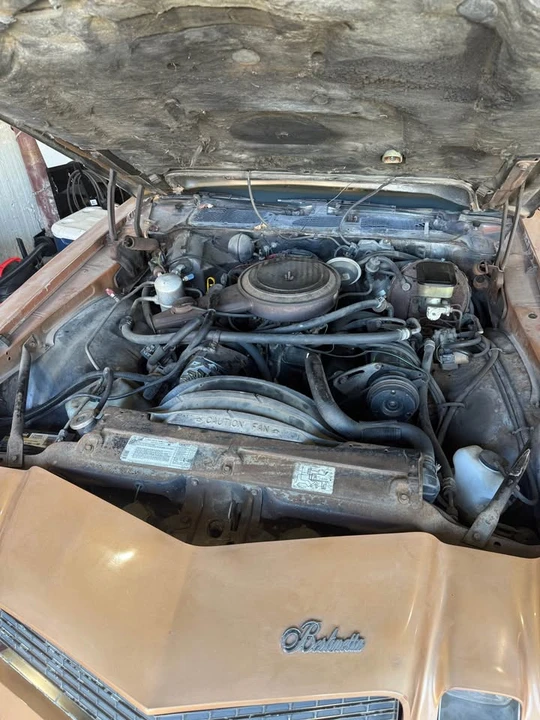 1981 Chevrolet Camaro 2nd Gen - Image 11 of 12