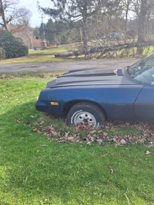 1981 Chevrolet Camaro 2nd Gen - Image 9 of 11