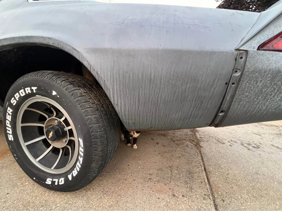 1981 Chevrolet Camaro 2nd Gen - Image 6 of 14