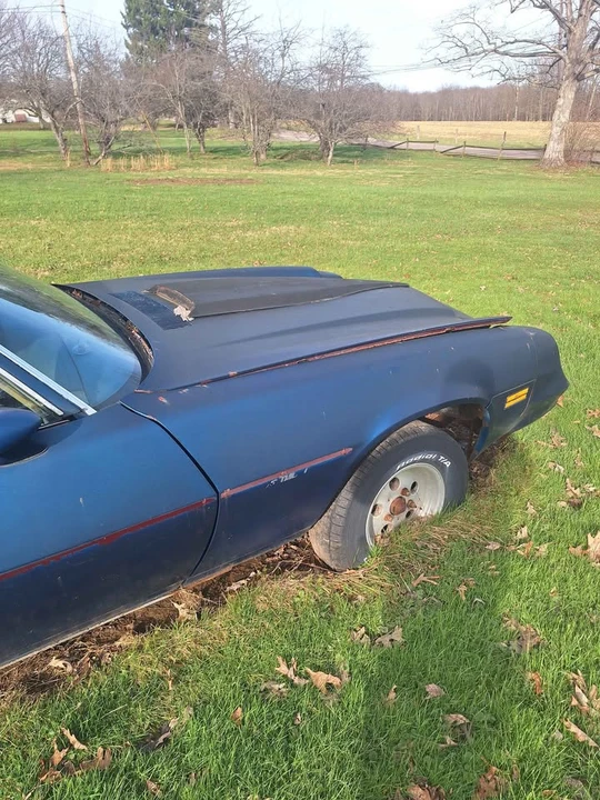 1981 Chevrolet Camaro 2nd Gen - Image 2 of 11