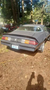 1981 Chevrolet Camaro Berlinetta