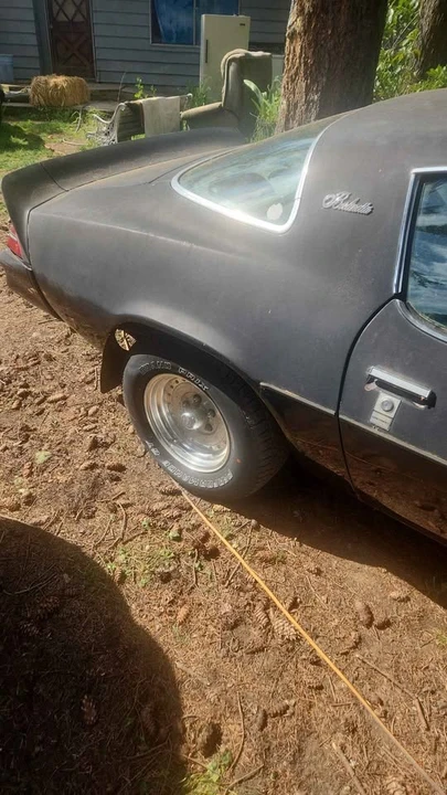 1981 Chevrolet Camaro 2nd Gen - Image 12 of 13