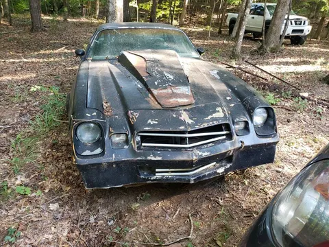 1981 Chevrolet Camaro