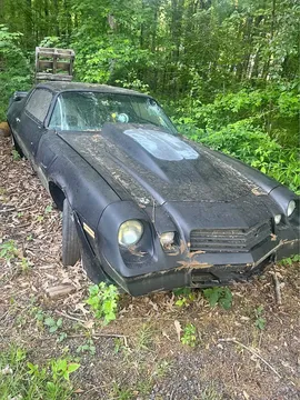 1981 Chevrolet Camaro T-Top