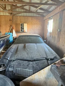 1981 Chevrolet Camaro Z/28