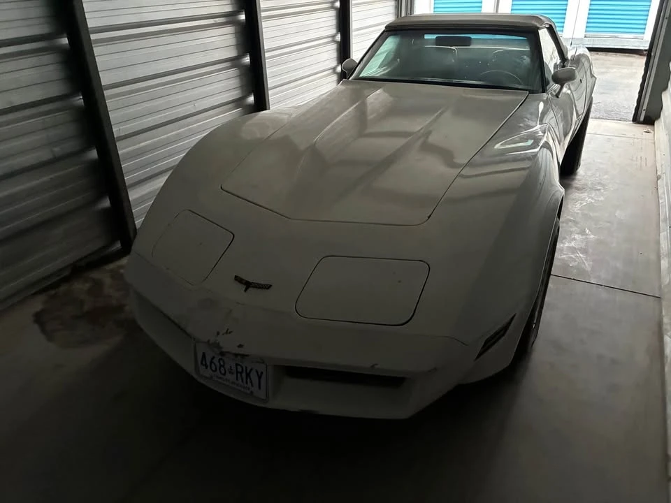 1981 Chevrolet Corvette C3 - Image 4 of 8
