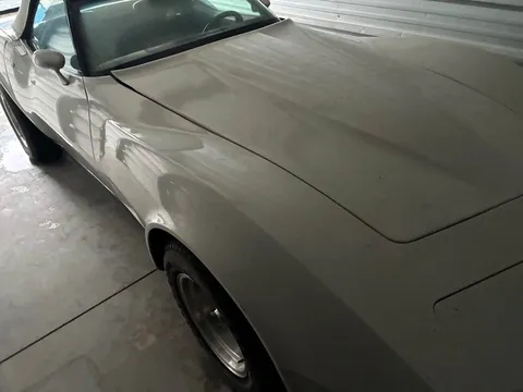 1981 Chevrolet Corvette C3 - Image 3 of 8
