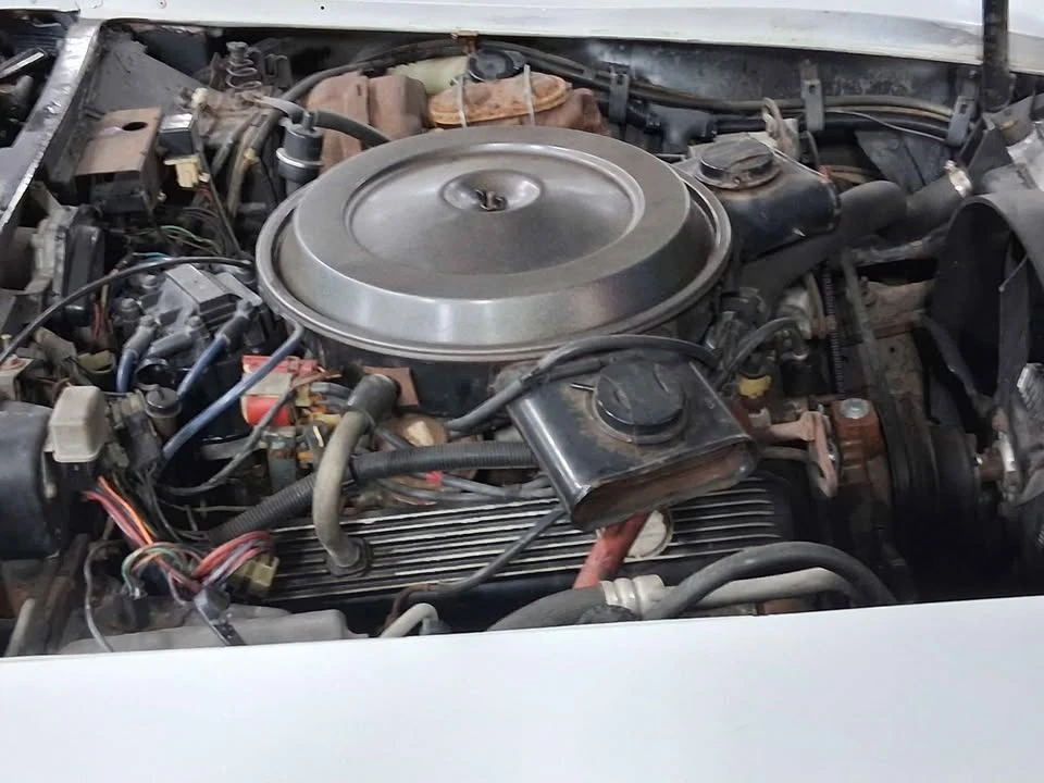 1981 Chevrolet Corvette C3 - Image 10 of 18