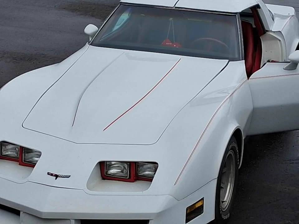 1981 Chevrolet Corvette C3 - Image 16 of 18
