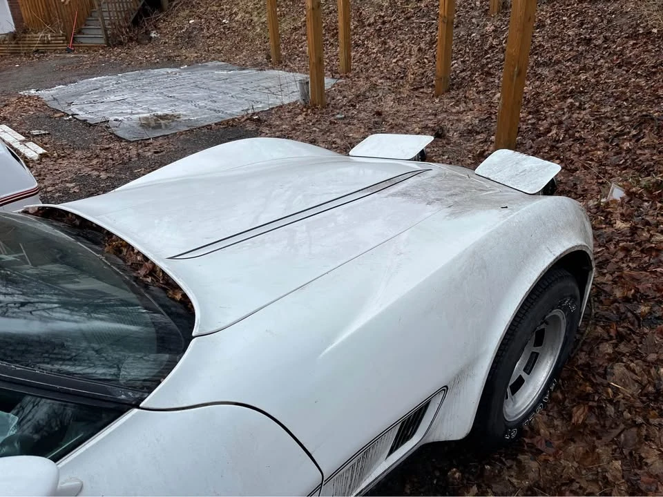 1981 Chevrolet Corvette C3 - Image 3 of 4