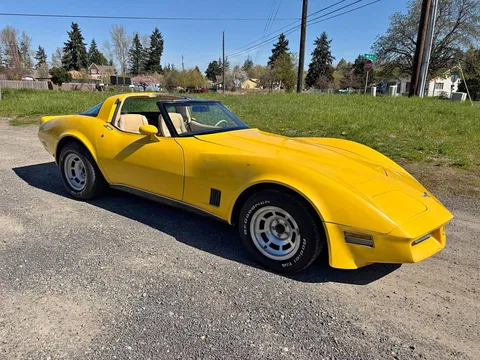 1981 Chevrolet Corvette